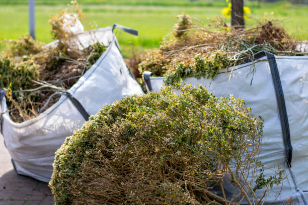 Best Appliance Removal  in Wilson, WY